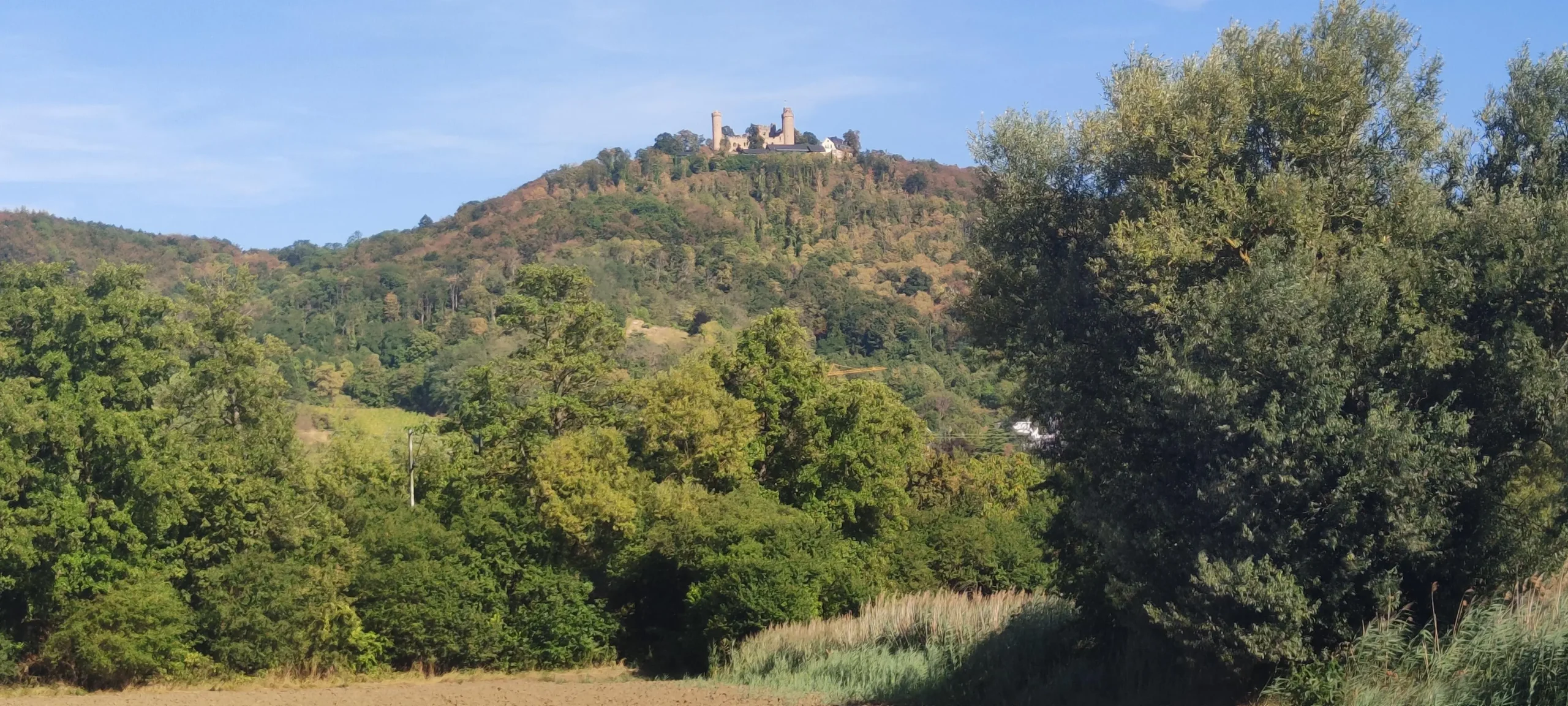 auerbacher schloss