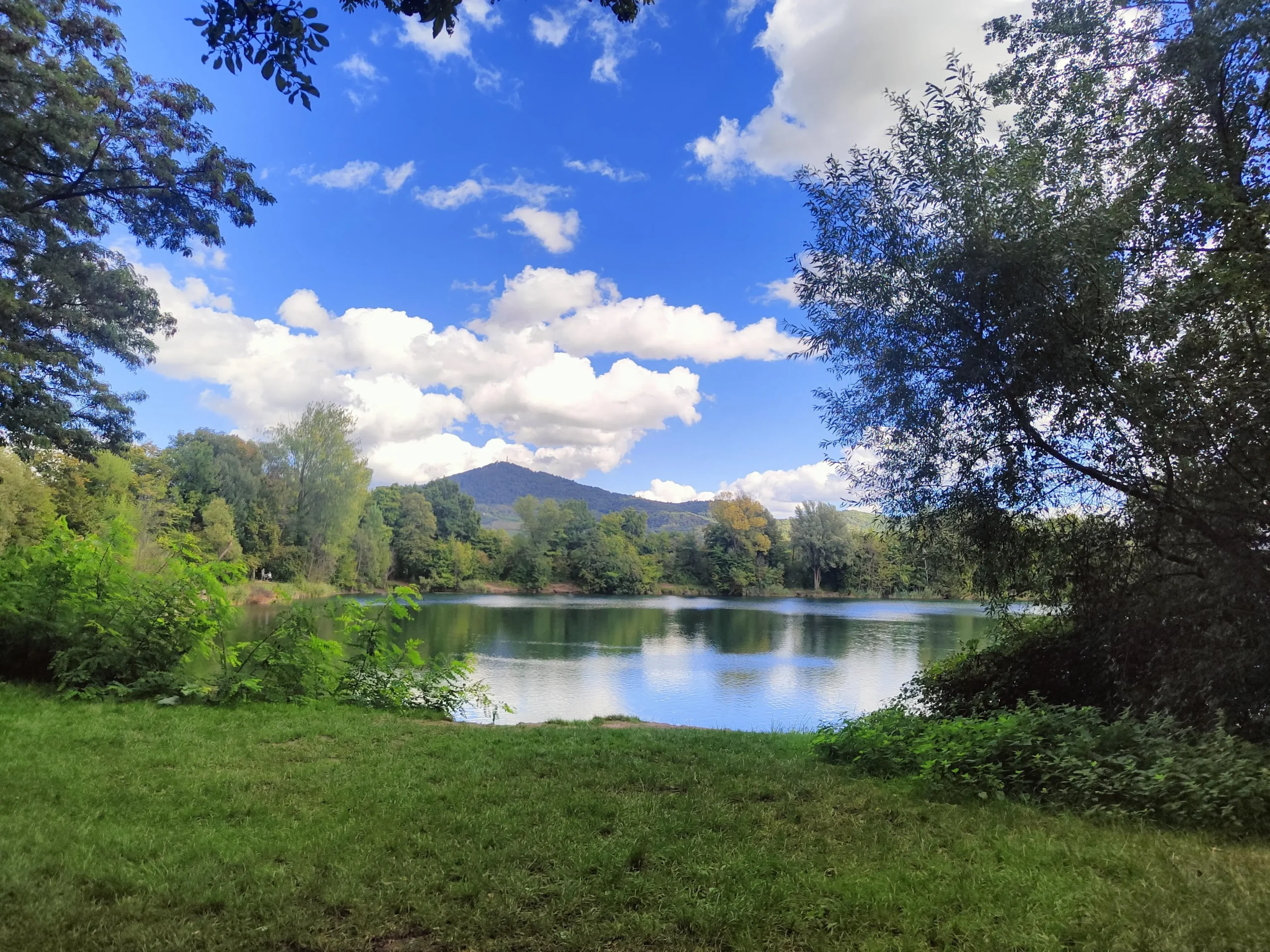niederwaldsee